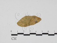 登錄號:F0011914藏品圖，第1張