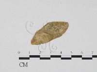 登錄號:F0011914藏品圖，第3張