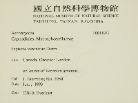 登錄號:F0011917藏品圖，第2張