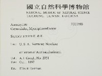 登錄號:F0011918藏品圖，第2張