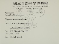 登錄號:F0011919藏品圖，第2張