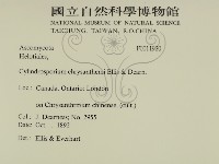 登錄號:F0011920藏品圖，第2張