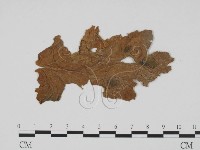 登錄號:F0011920藏品圖，第1張