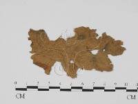 登錄號:F0011920藏品圖，第3張