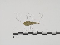 登錄號:F0011922藏品圖，第3張