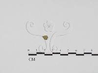 登錄號:F0011923藏品圖，第1張