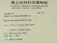 登錄號:F0011924藏品圖，第2張