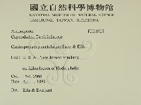登錄號:F0011925藏品圖，第2張