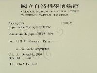 登錄號:F0011926藏品圖，第2張