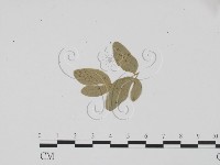 登錄號:F0011926藏品圖，第3張