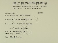 登錄號:F0011929藏品圖，第2張