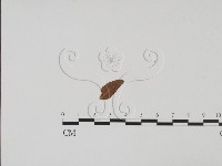 登錄號:F0011929藏品圖，第3張