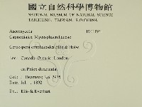登錄號:F0011931藏品圖，第2張