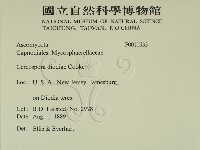 登錄號:F0011933藏品圖，第2張