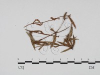 登錄號:F0011933藏品圖，第1張