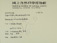 登錄號:F0011934藏品圖，第2張