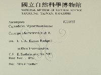 登錄號:F0011935藏品圖，第2張