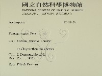 登錄號:F0011936藏品圖，第2張