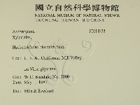 登錄號:F0011938藏品圖，第2張
