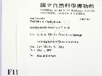 登錄號:F0011941藏品圖，第2張