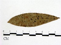 登錄號:F0011941藏品圖，第1張