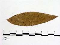 登錄號:F0011941藏品圖，第3張