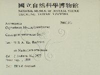 登錄號:F0011943藏品圖，第2張