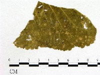 登錄號:F0011943藏品圖，第3張