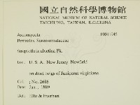 登錄號:F0011946藏品圖，第2張