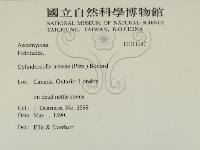 登錄號:F0011947藏品圖，第2張