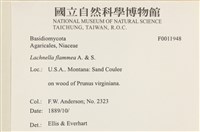 登錄號:F0011948藏品圖，第4張