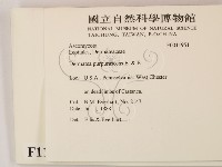 登錄號:F0011951藏品圖，第2張