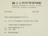 登錄號:F0011952藏品圖，第2張