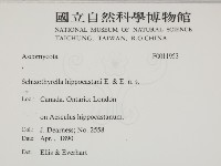 登錄號:F0011953藏品圖，第2張