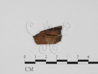 登錄號:F0011953藏品圖，第1張