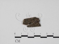 登錄號:F0011953藏品圖，第3張
