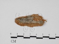 登錄號:F0011954藏品圖，第1張