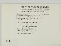 登錄號:F0011955藏品圖，第2張