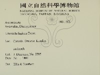 登錄號:F0011956藏品圖，第2張