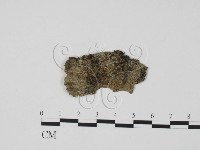 登錄號:F0011956藏品圖，第1張