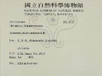 登錄號:F0011957藏品圖，第2張
