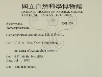 登錄號:F0011959藏品圖，第2張