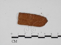登錄號:F0011960藏品圖，第3張