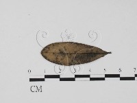 登錄號:F0011961藏品圖，第1張
