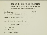登錄號:F0011966藏品圖，第2張