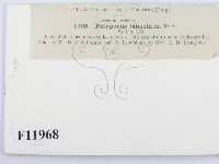 登錄號:F0011968藏品圖，第3張