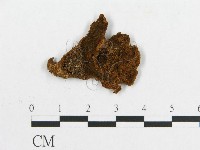 登錄號:F0011968藏品圖，第4張
