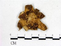 登錄號:F0011969藏品圖，第1張