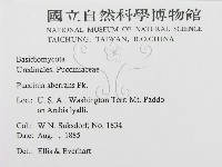 登錄號:F0011970藏品圖，第2張