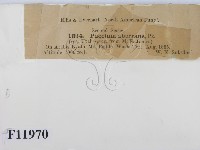 登錄號:F0011970藏品圖，第3張